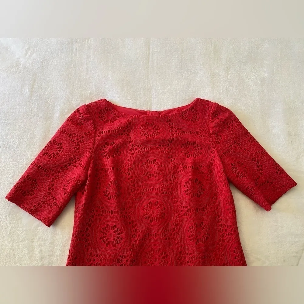 ADRIANNA Papell Lace Dress Size 8 - Image 3