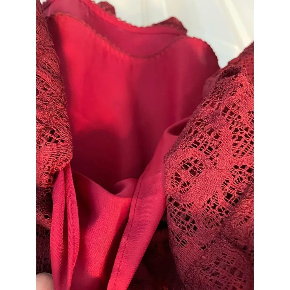 Anthropologie Moulinette Soeurs Carmindy Dress Pink Burgundy Lace 4 New - Image 10