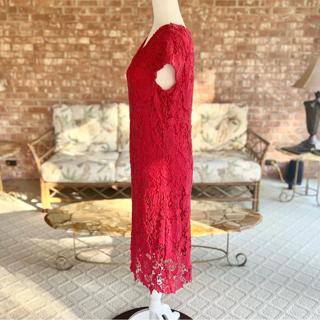 Luxology Dress Lace Crochet Cap Sleeve Sheath 10 Garden Brunch Party Bright - Image 4