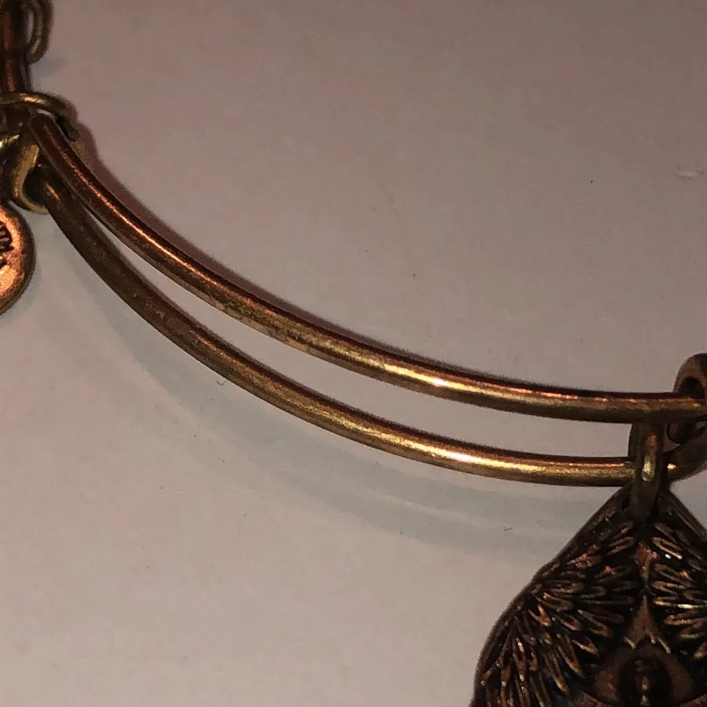 Alex and Ani Aged Gold Tone Guardian of Peace Angel Charm Bangle Bracelet - Image 7