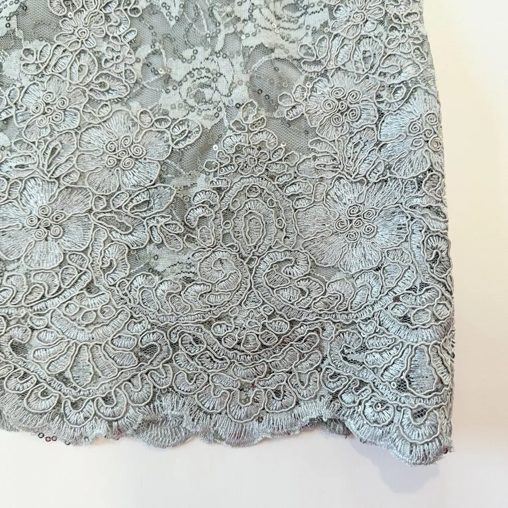 Alex Evening Silver Sequin Lace Sleeveless Cocktail Party Sheath Dress 4P PETITE - Image 8