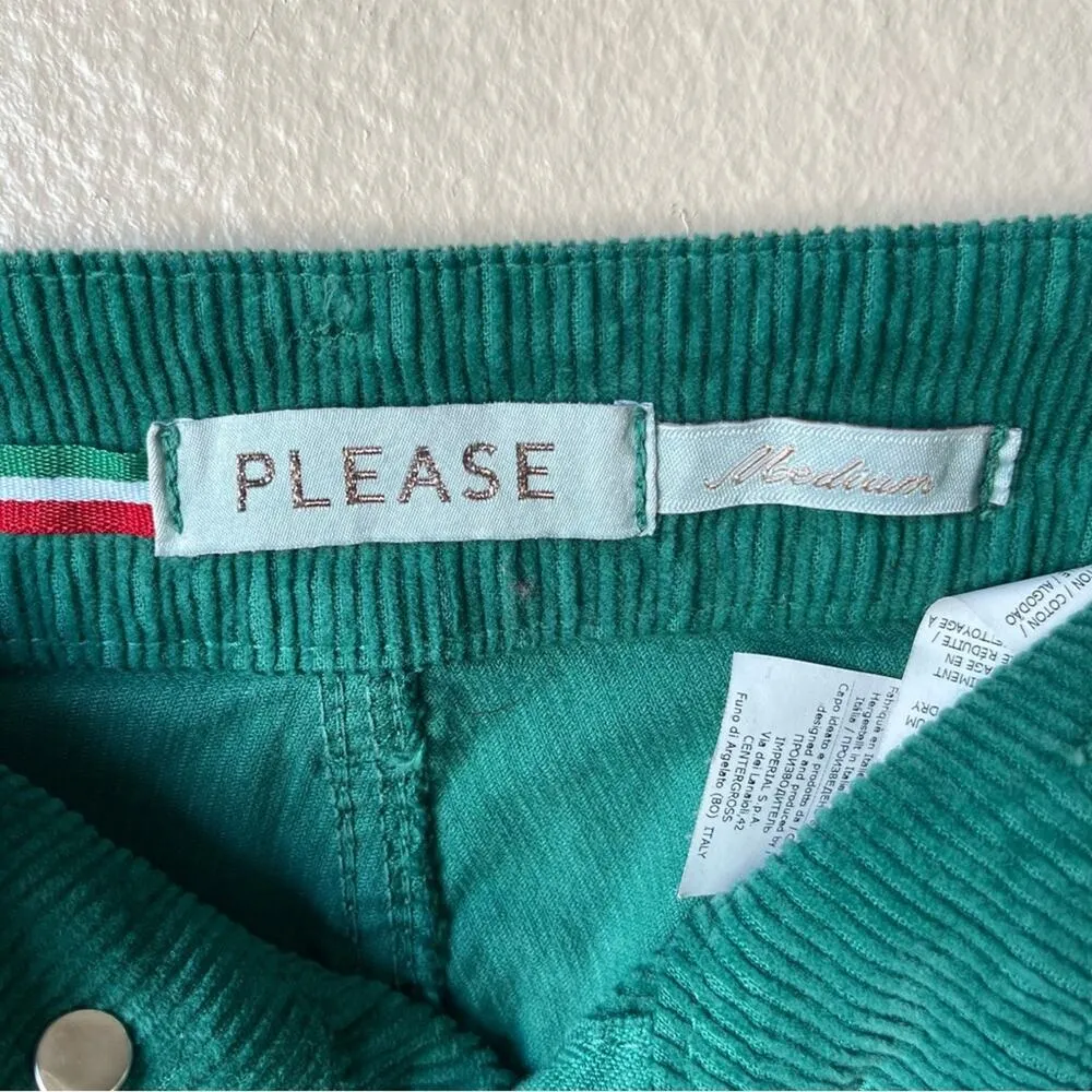Please women's Corduroy green flare boho hippie winter pants size medium - Image 3