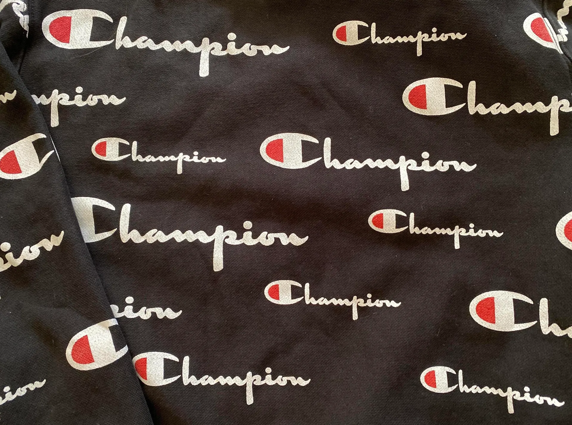 Champion Crewneck Sweatshirt - Image 3
