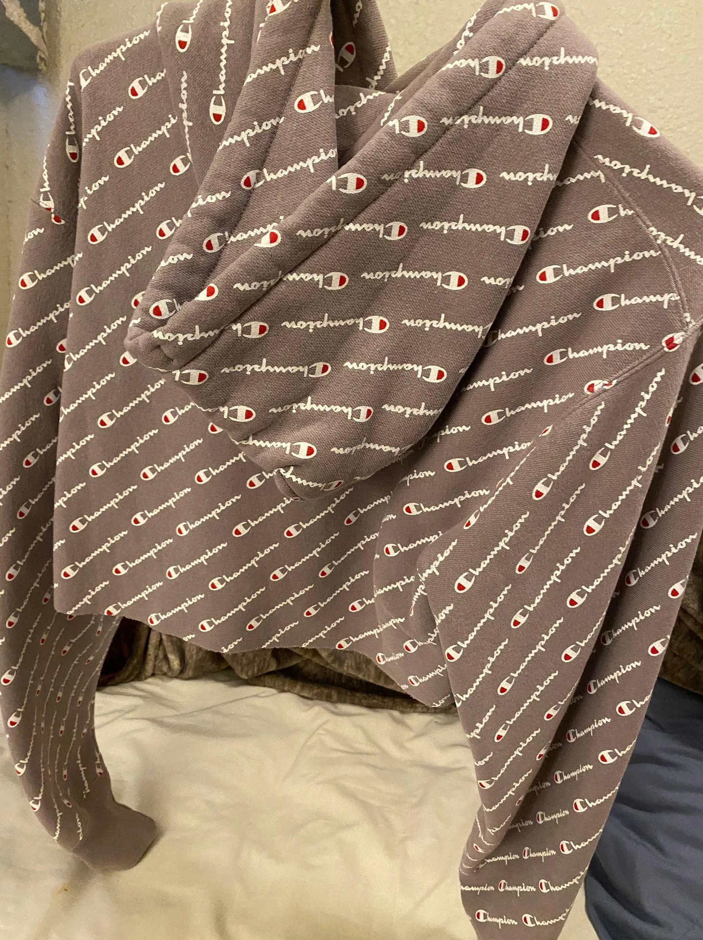 Champion Hoodie Crop - Image 2