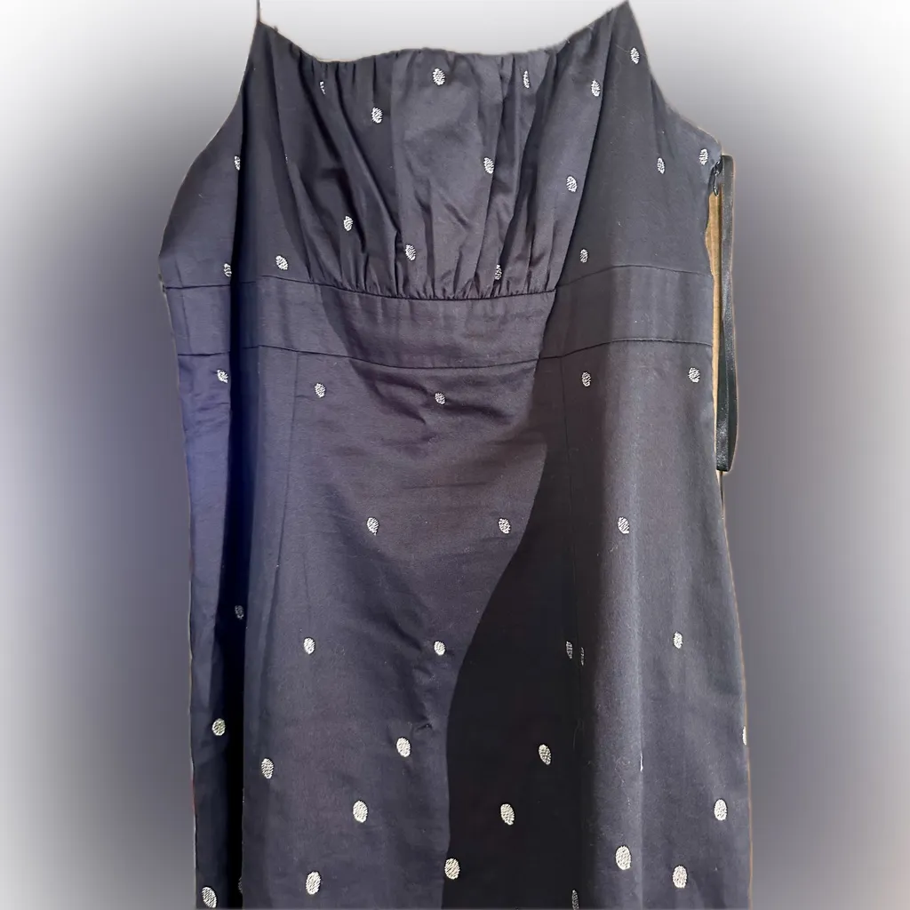 Ann Taylor Navy With Silver Metallic Embroidery Dress  Empire waist  Size 10 P - Image 9