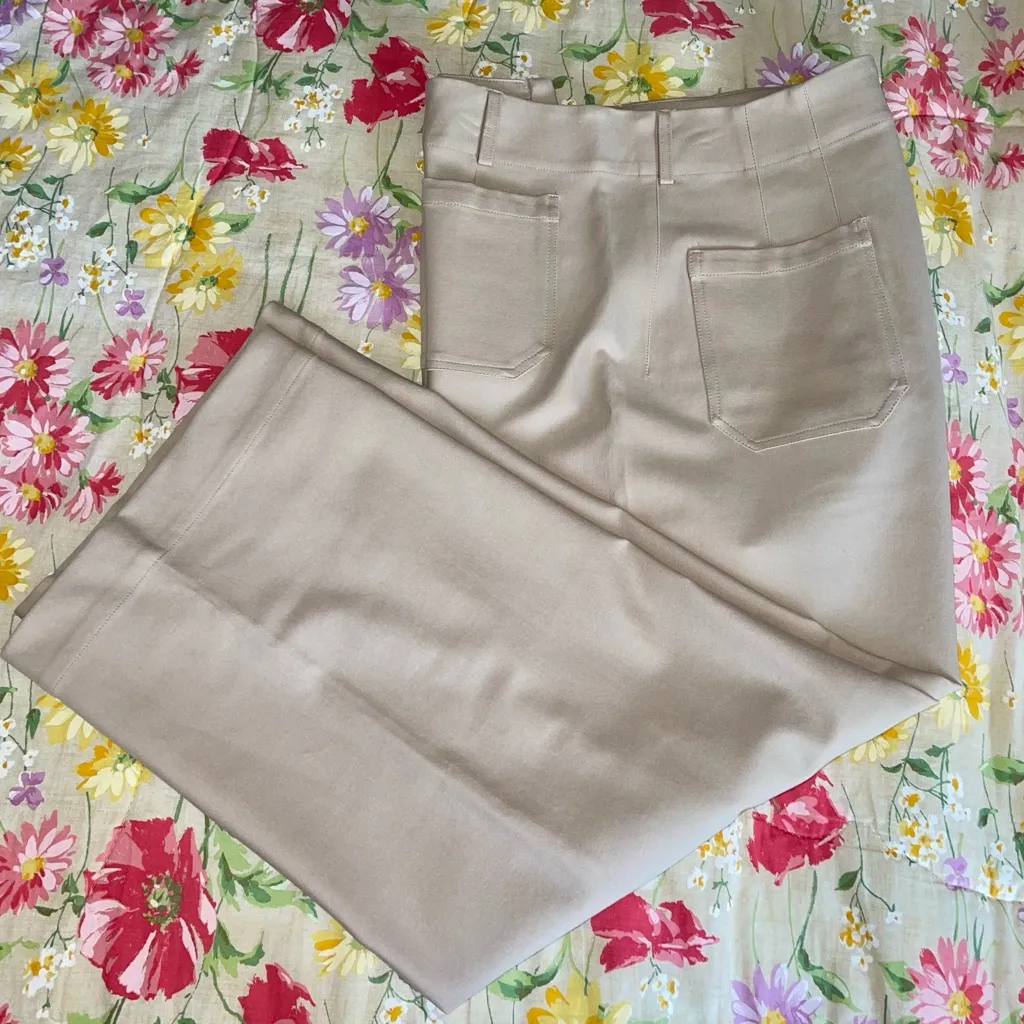 Hailey & Co. Pants & Jumpsuits Tan Size 1X - Image 5
