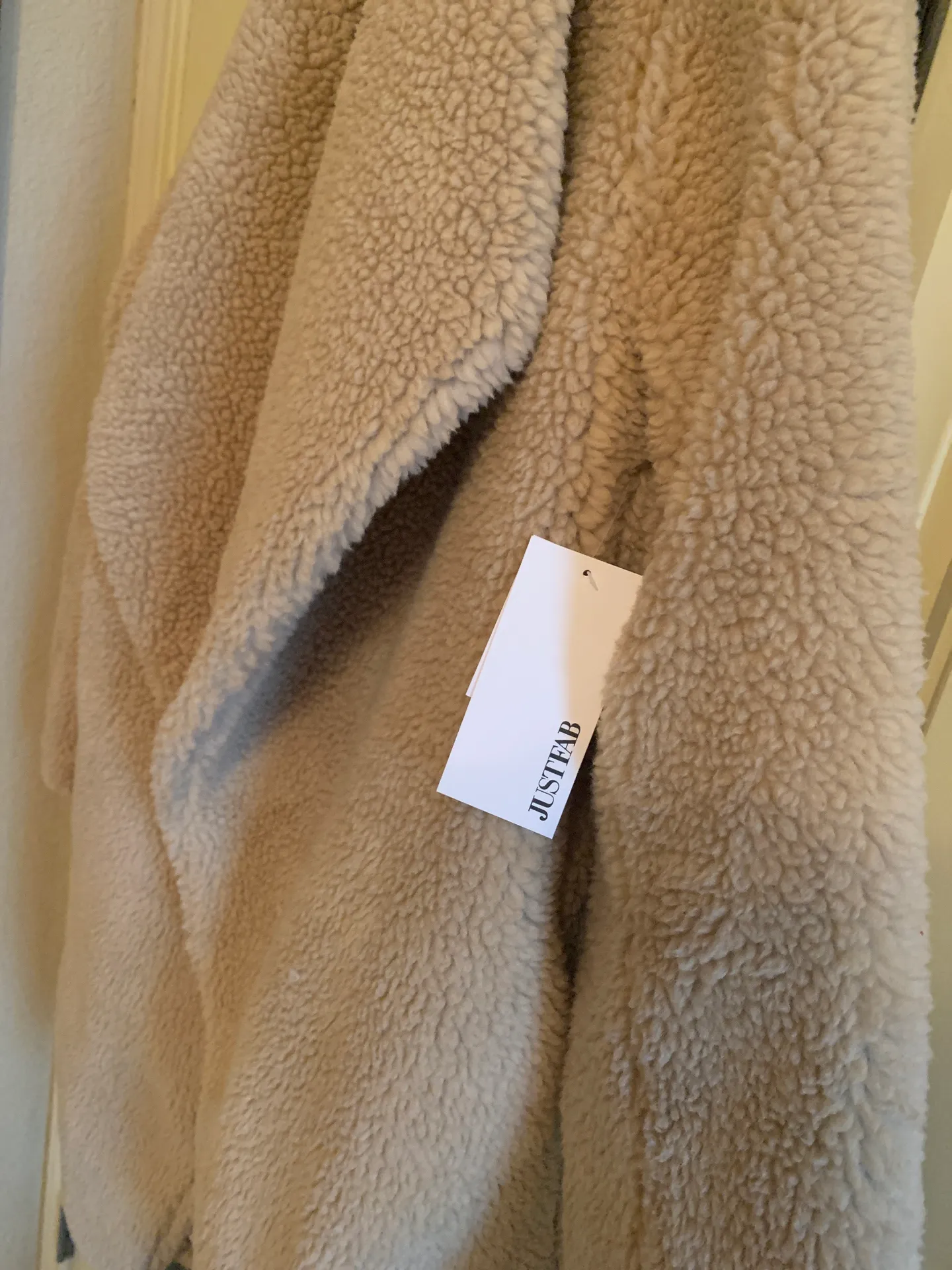 JustFab Teddy Bear Coat - Image 4