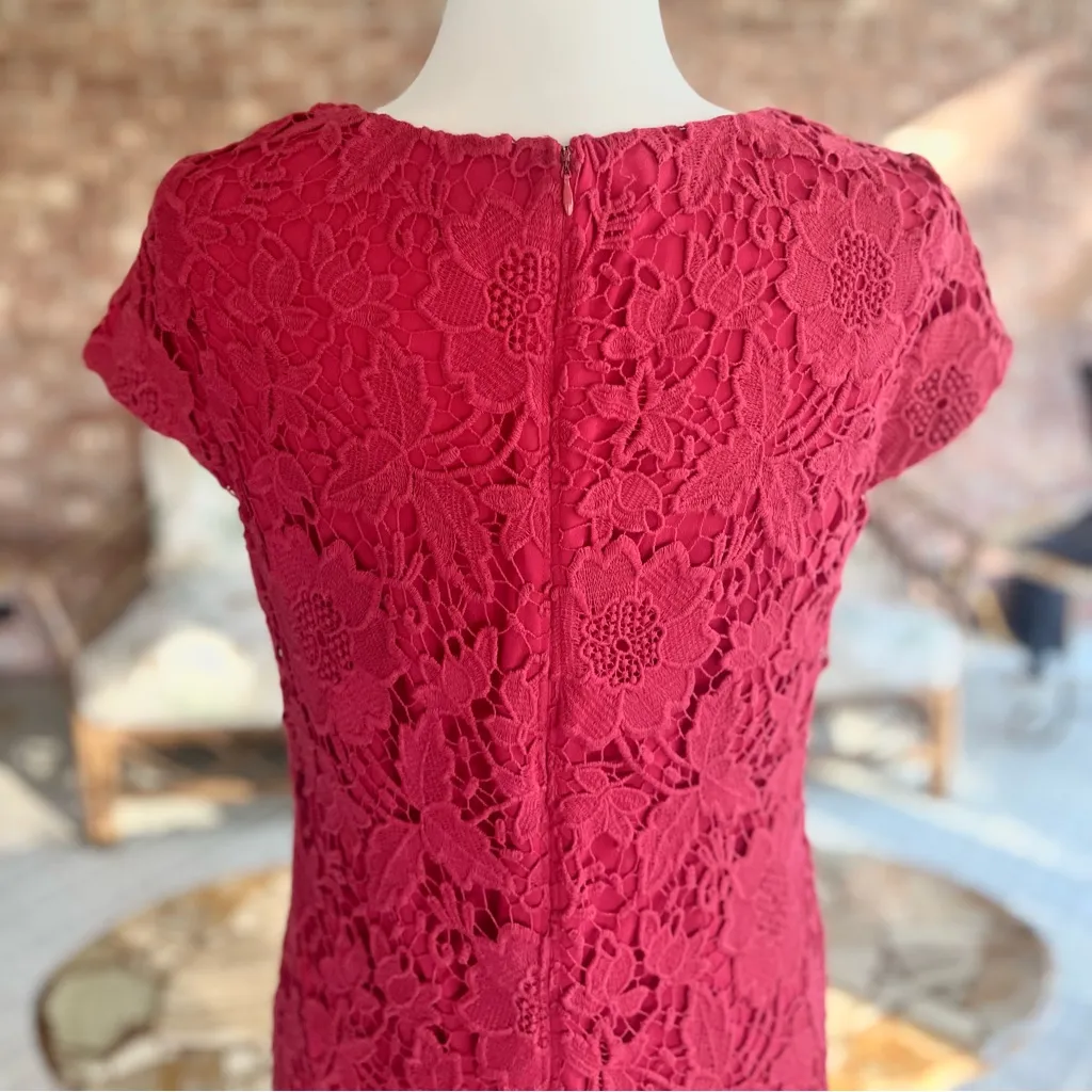 Luxology Dress Lace Crochet Cap Sleeve Sheath 10 Garden Brunch Party Bright - Image 6