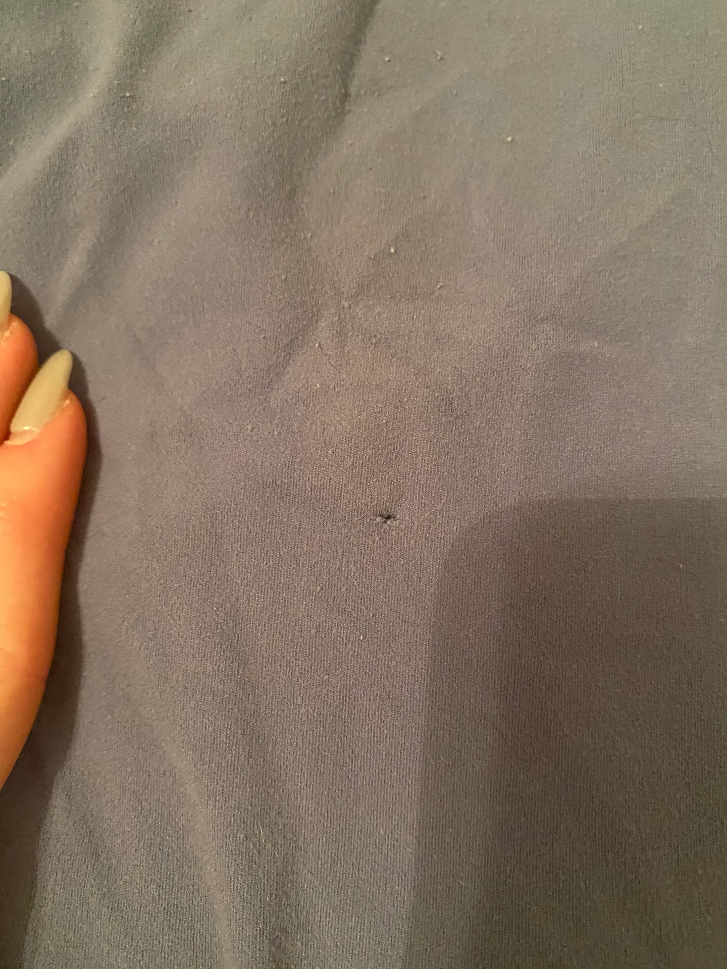 Blue Lulu Leggings - Image 5