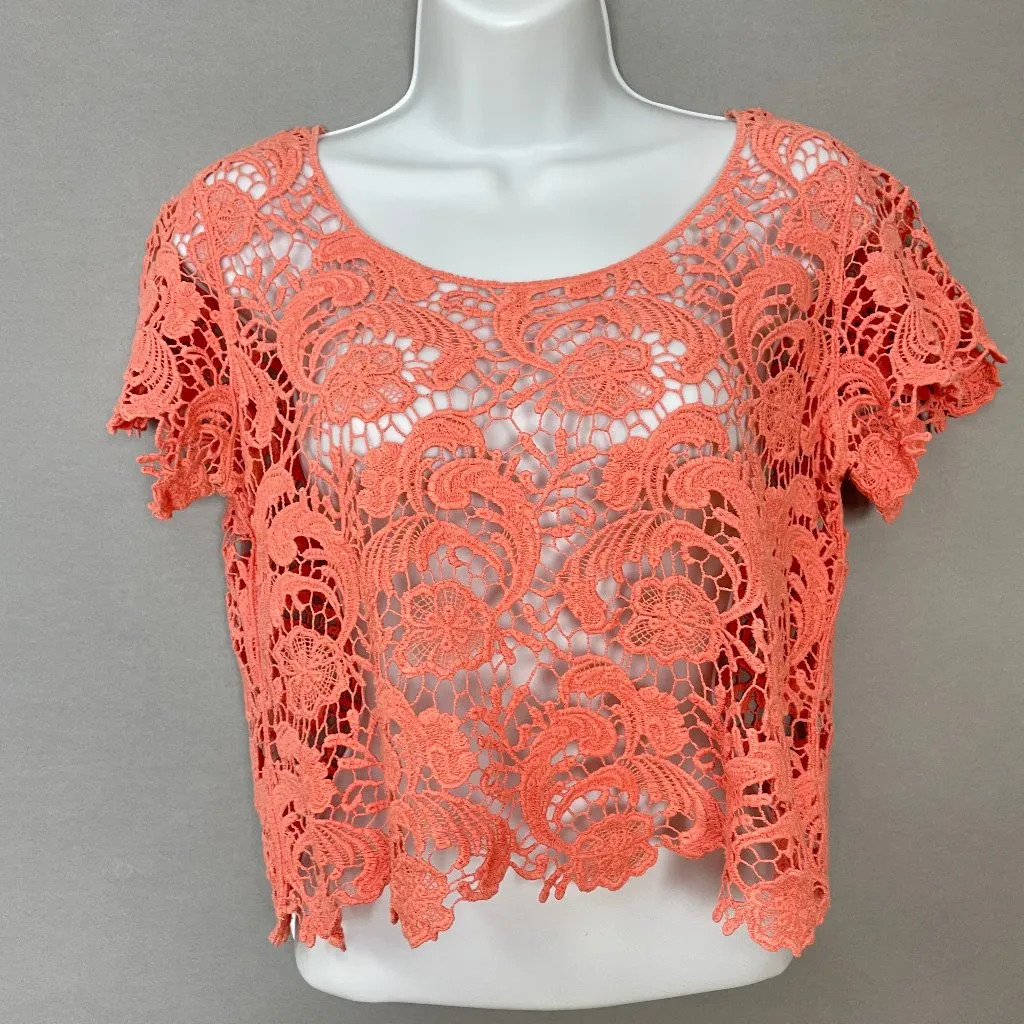 Lace Crop Top Peach Pink‎ Short Sleeves Women Scalloped Delicate Overlayer Piece Pink - Image 12