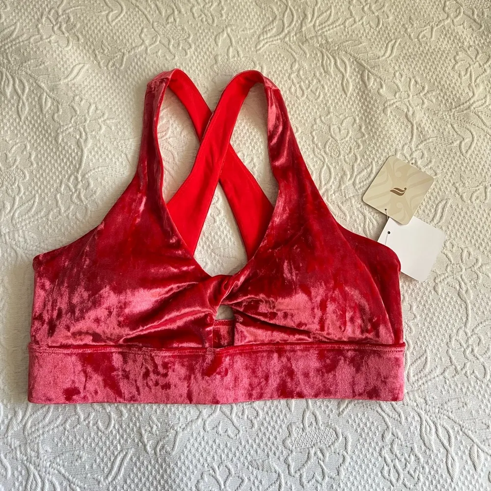 Fabletics Oasis Crushed Velour bra Size small - Image 9