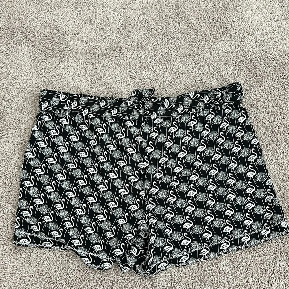 NWT Loft Elastic Waist Shorts With Tie Belt Sz L - Image 3