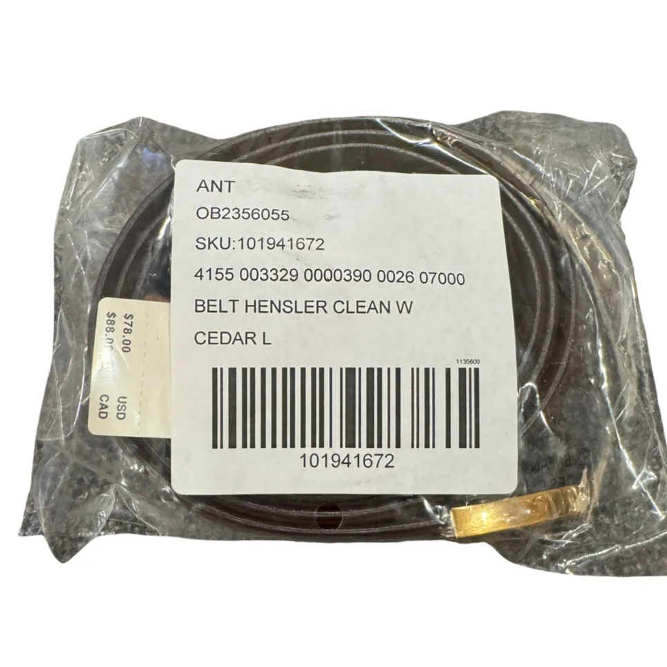 Anthropologie Classic Western Belt - Cedar L - Image 2