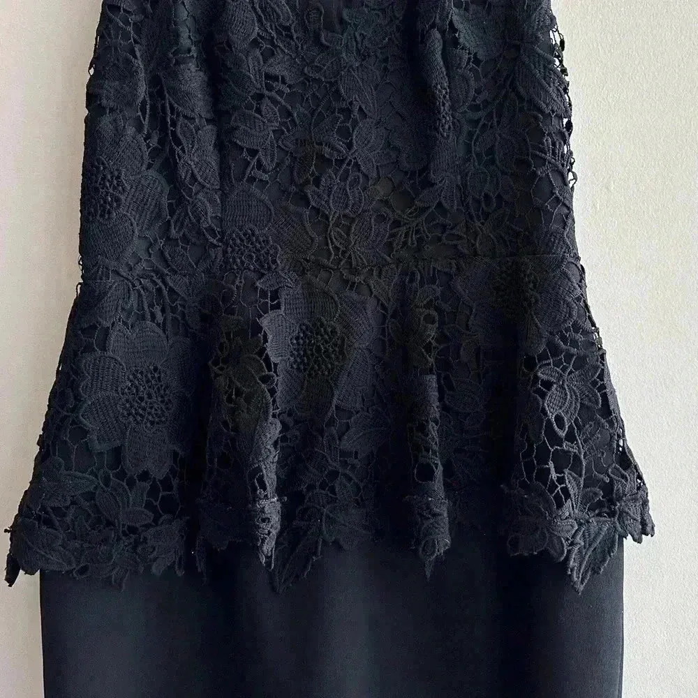Betsy & Adam Lace Crochet Peplum Dress with Black Pencil Skirt, Size 10 - Image 4