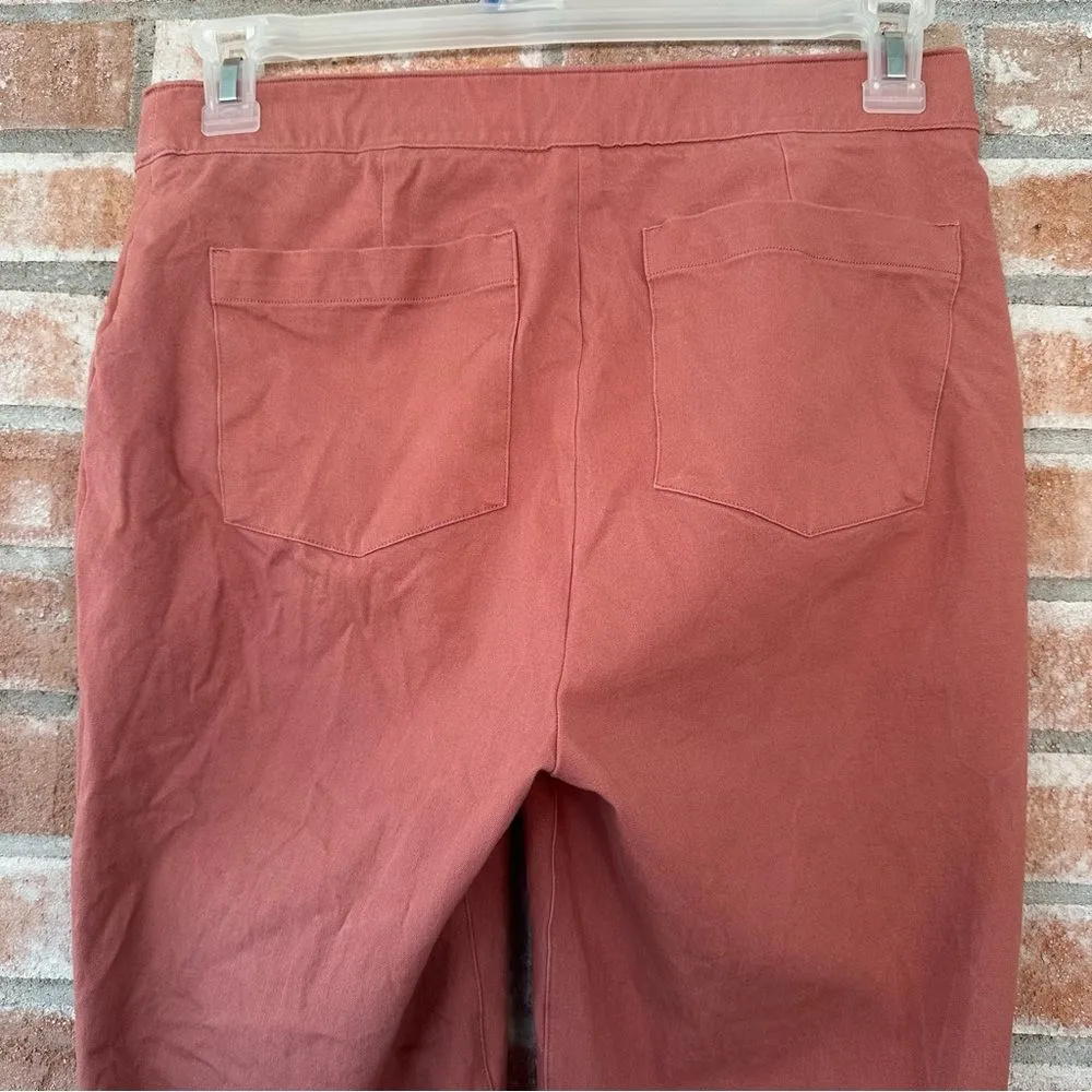 Spanx On The Go Slim Straight Ankle Pull On Pants Salmon Women’s Medium Tall - Image 5