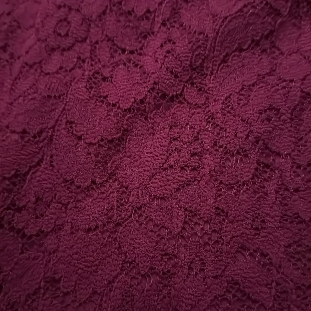 Hollister Deep Red Lace Mini Dress - Image 2