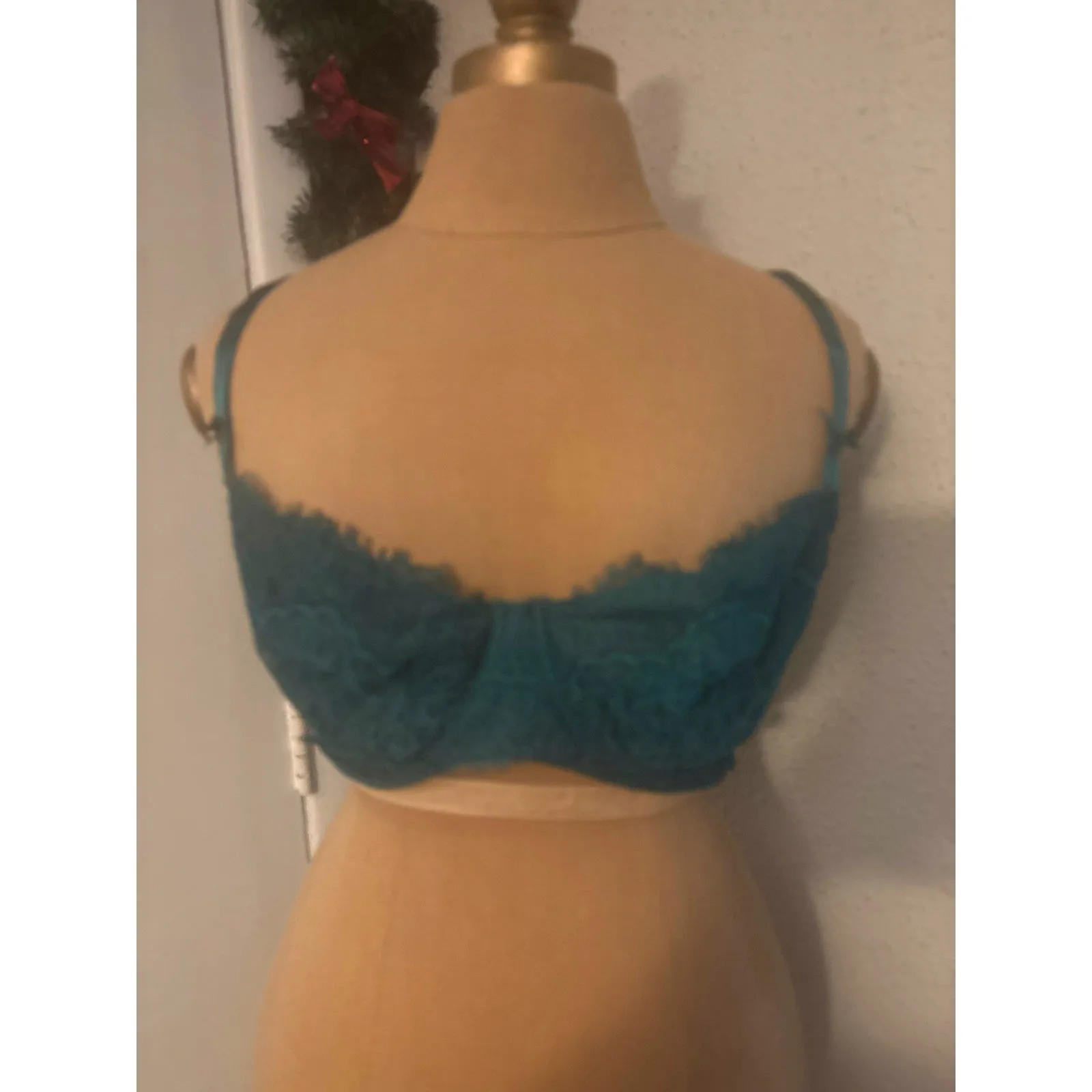 Victoria Secret Green Dream Angel Lace Trim Pushup Bra 36DDD Feminine Coquette - Image 2