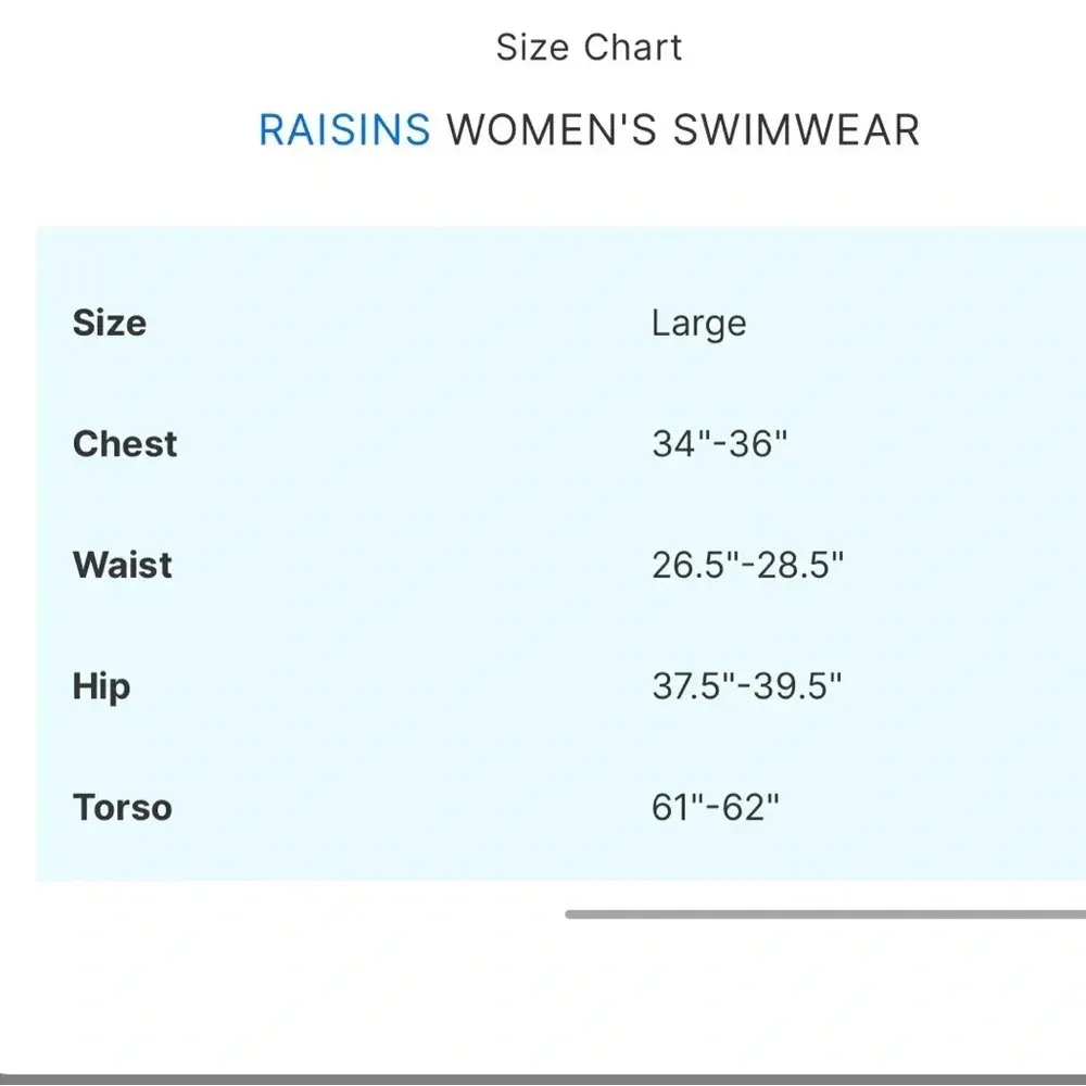 NWT Raisins Flower Child Sweet Side Textured Floral Side Tie Bikini Size L - Image 11