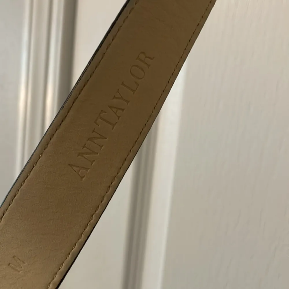 Ann Taylor Belt - Image 3