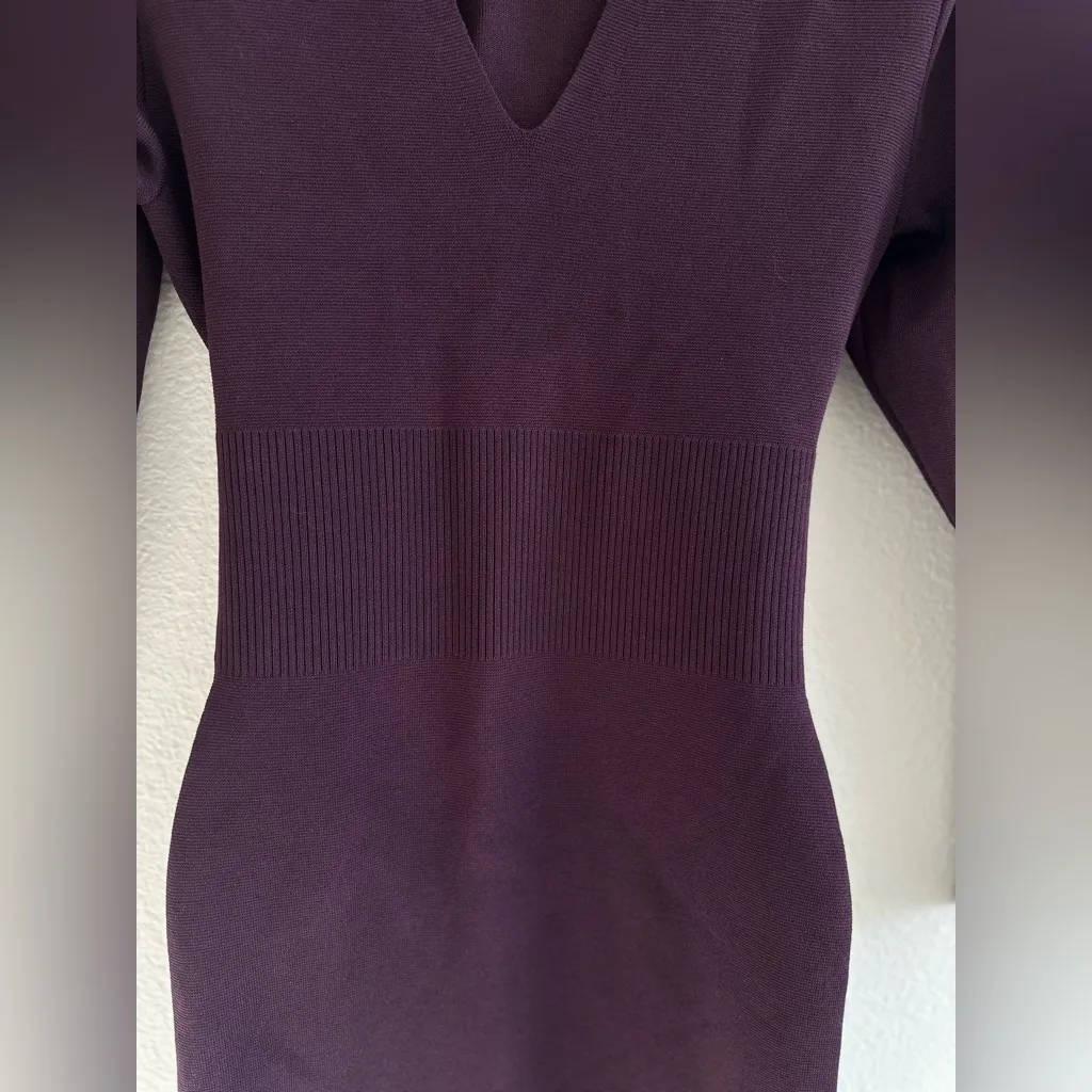 Express Deep Purple Long Sleeve Dress - Image 5