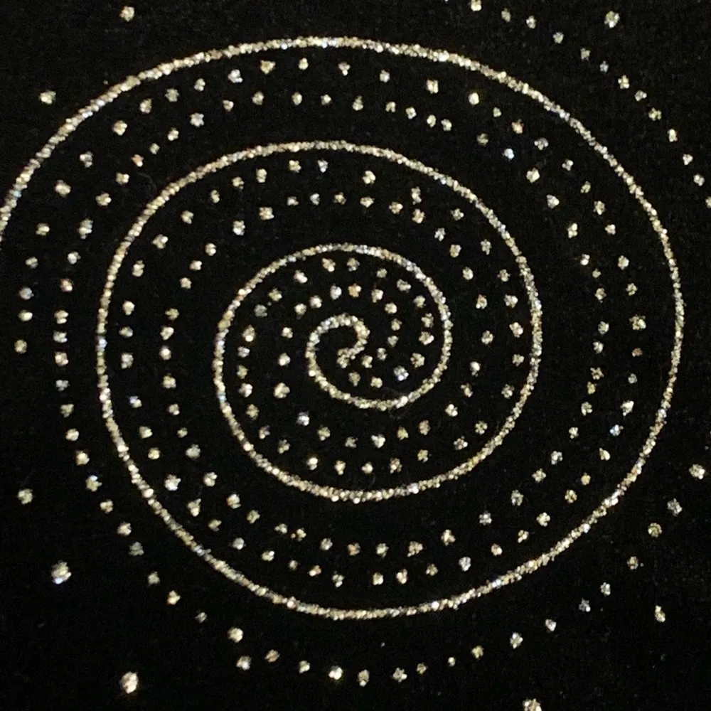 Briggs New York NWT top women’s Petite Small Black Sliver Glitter Stretch Velvet - Image 8