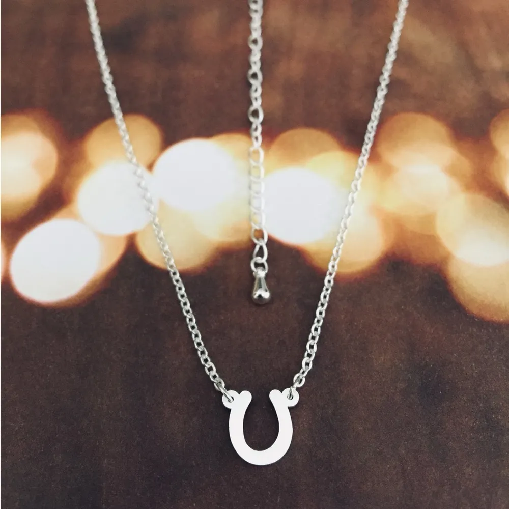Horseshoe Necklace Silver - Image 3
