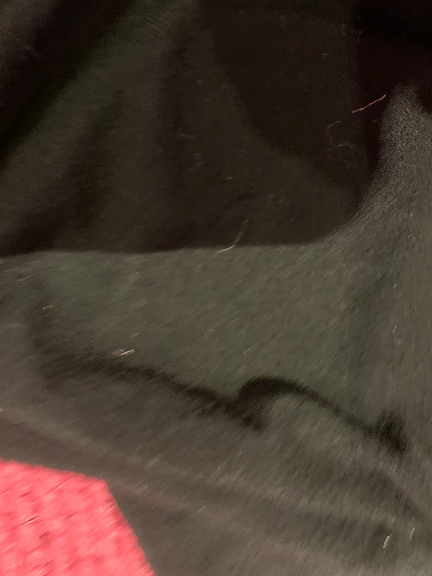 pajama pants - Image 6