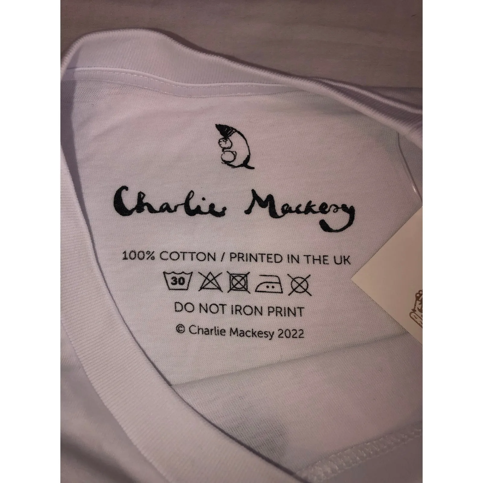 Charlie Mackesy Platinum Jubilee 2022 T - Image 3