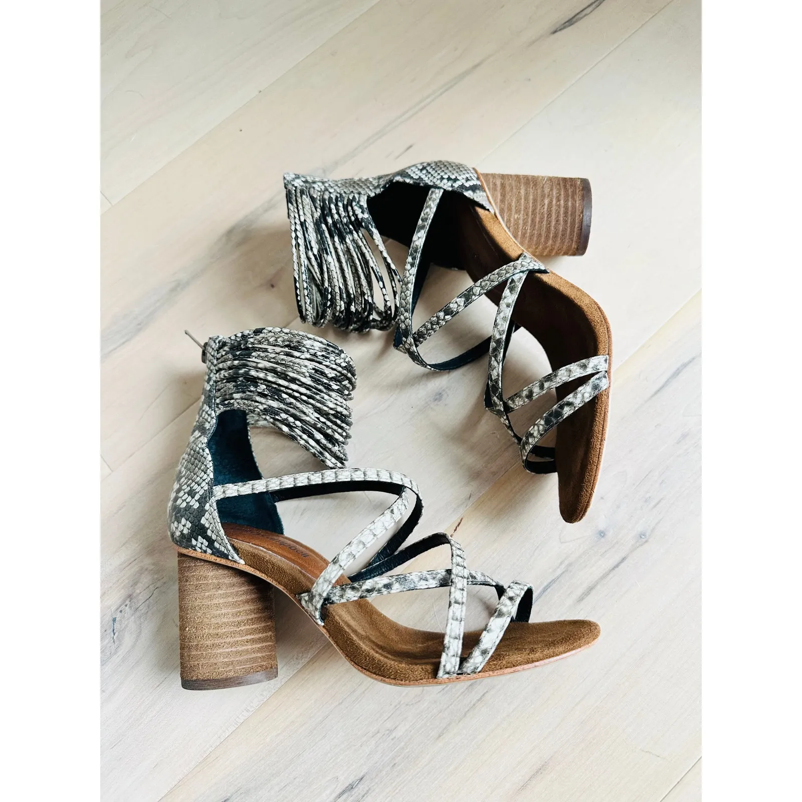 Womens Heels Size 6 Snake Print Block Heel Free People X Jeffrey Campbell Summer - Image 6