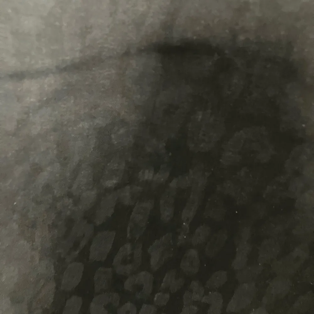 Ashley animal print black straight legs high rise - Image 3