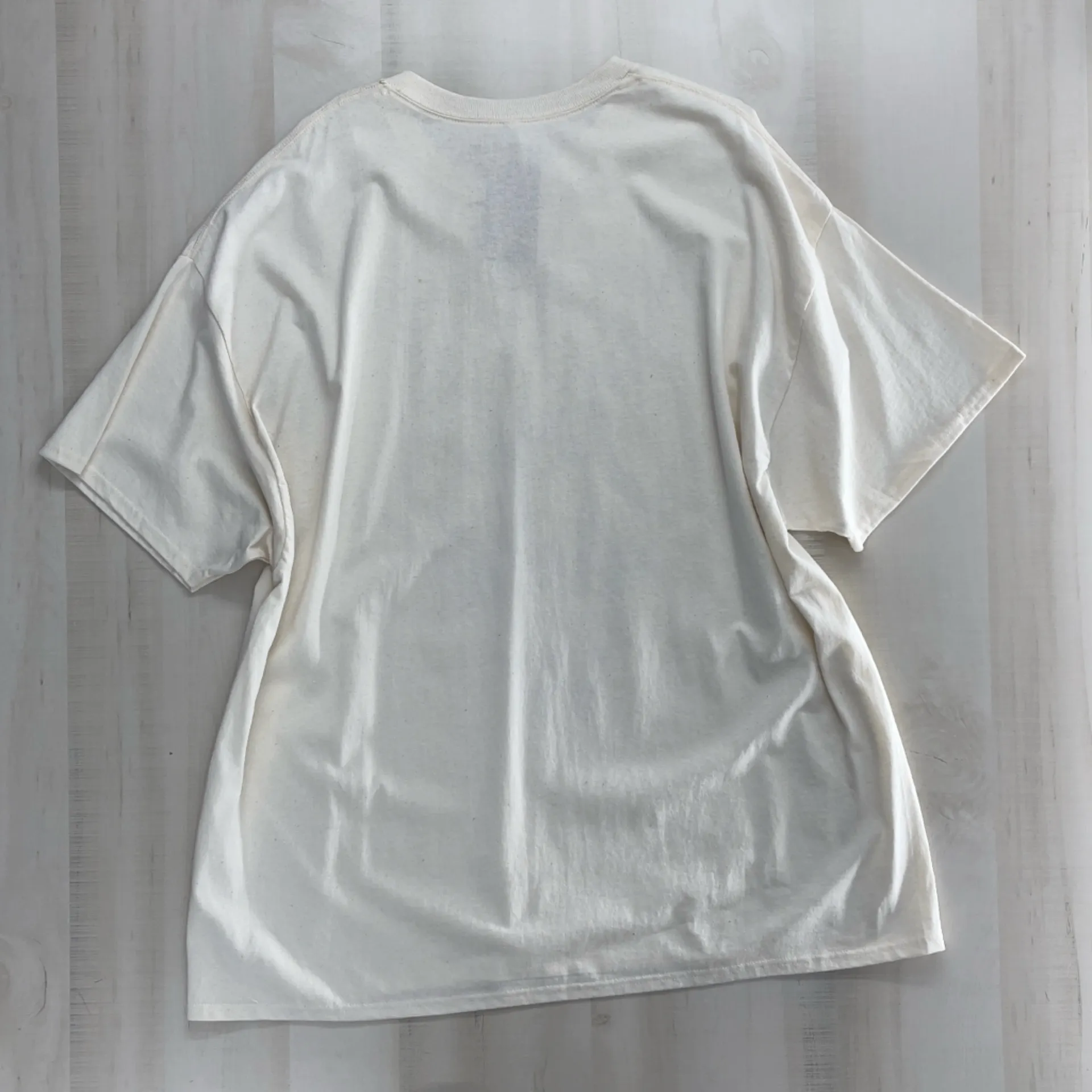 nwt URBAN OUTFITTERS American Classics WEEZER band tee oversized graphic - Image 4