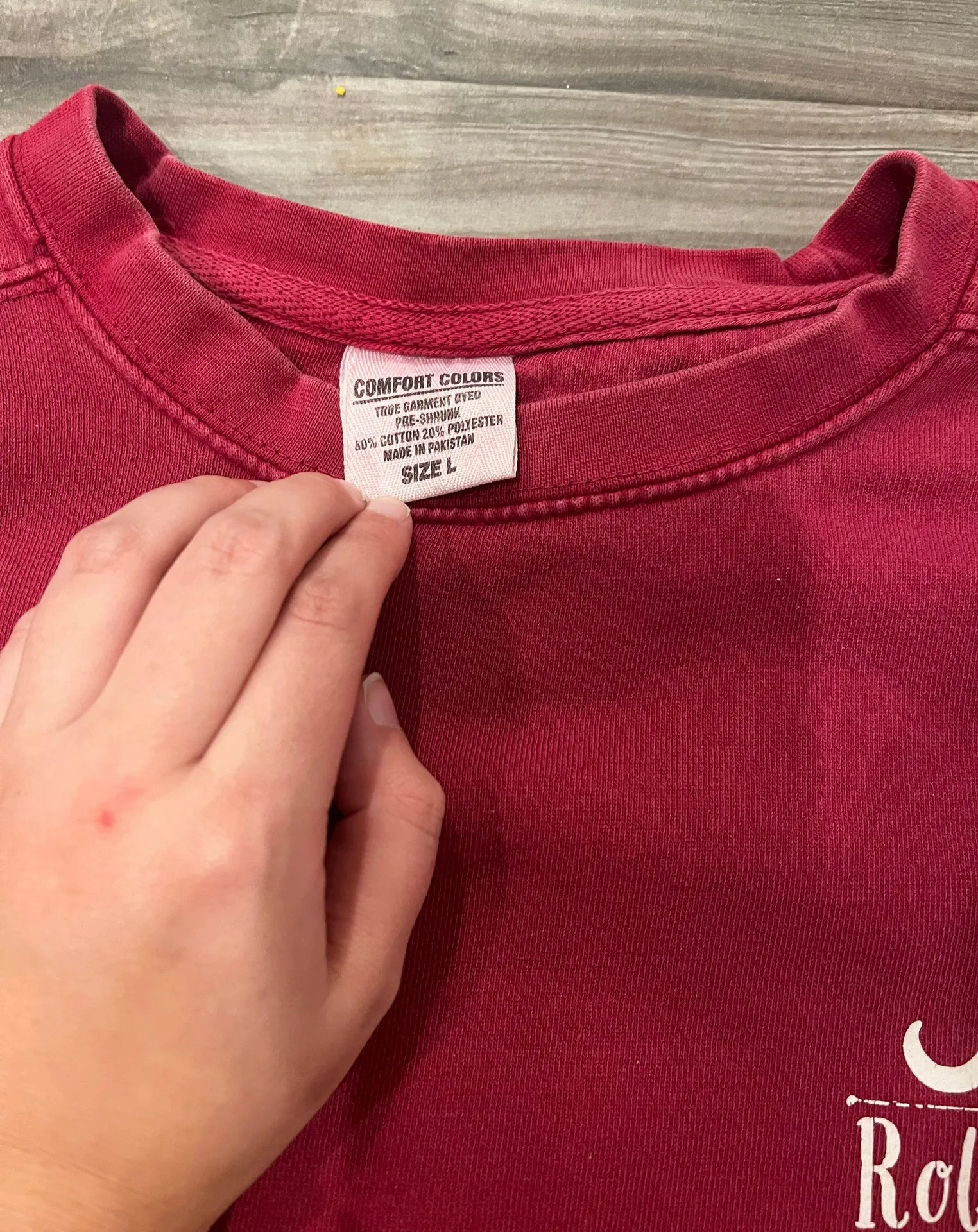 Comfort Colors Alabama Sweatshirt - Image 3