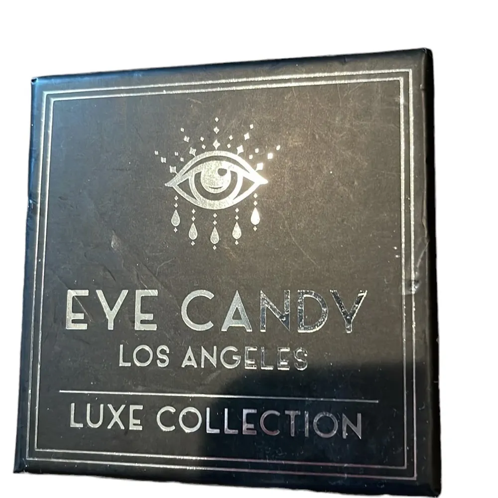 EYE CANDY SPIDER WEB EARRINGS - Image 3