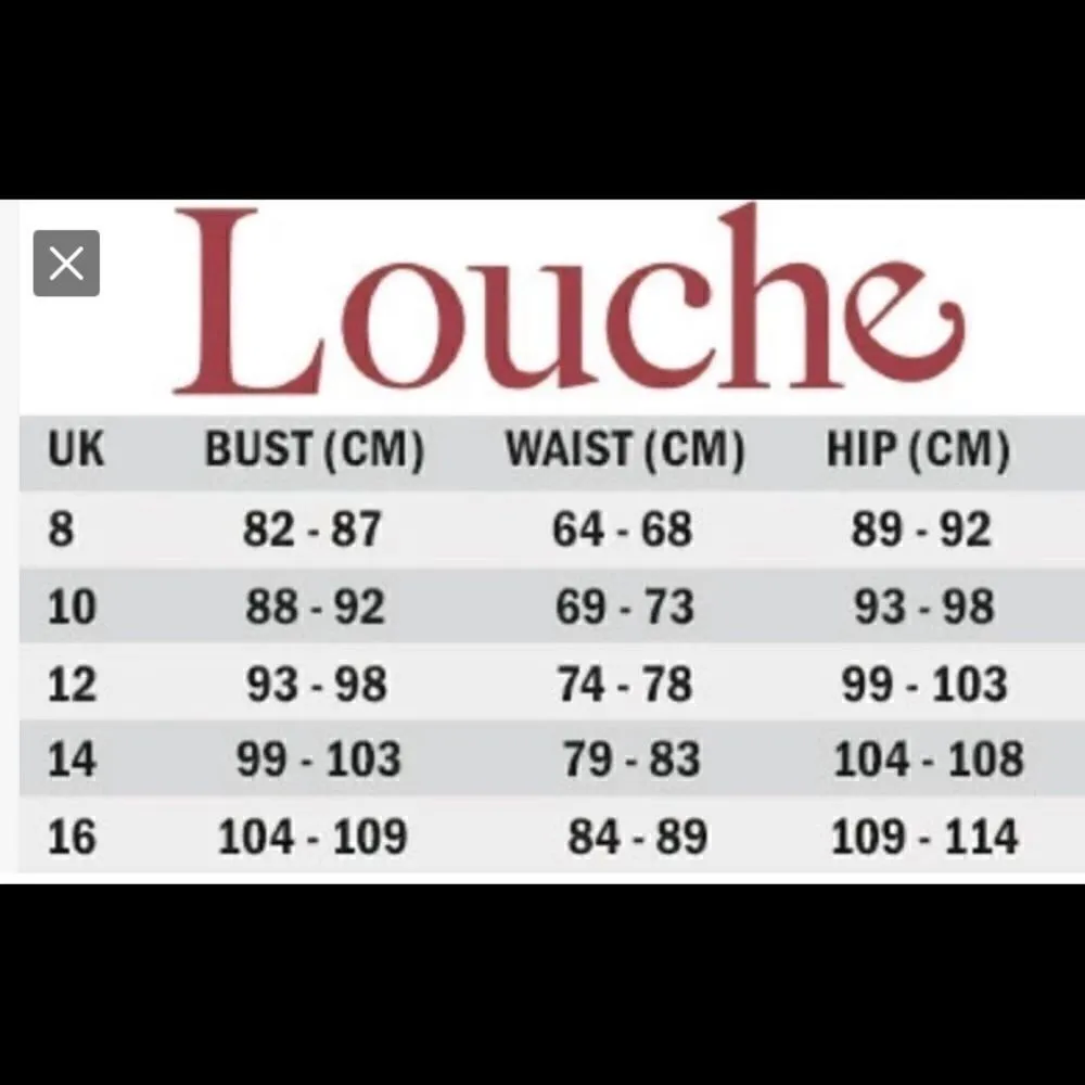 NWT Louche Chambray Remi striped skirt - Image 6