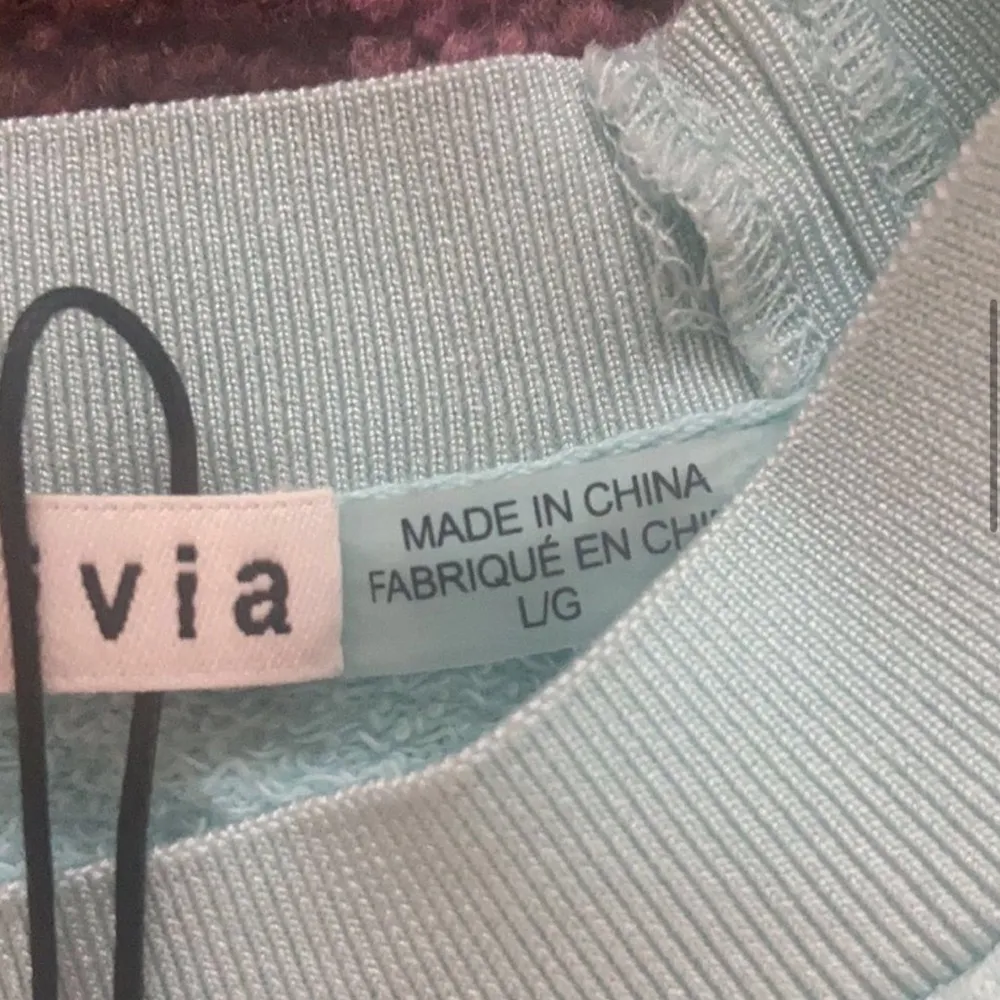 NWT  Braxton Cropped Sleeveless Sweatshirt Boxy Fit Tiffany Blue L - Image 6