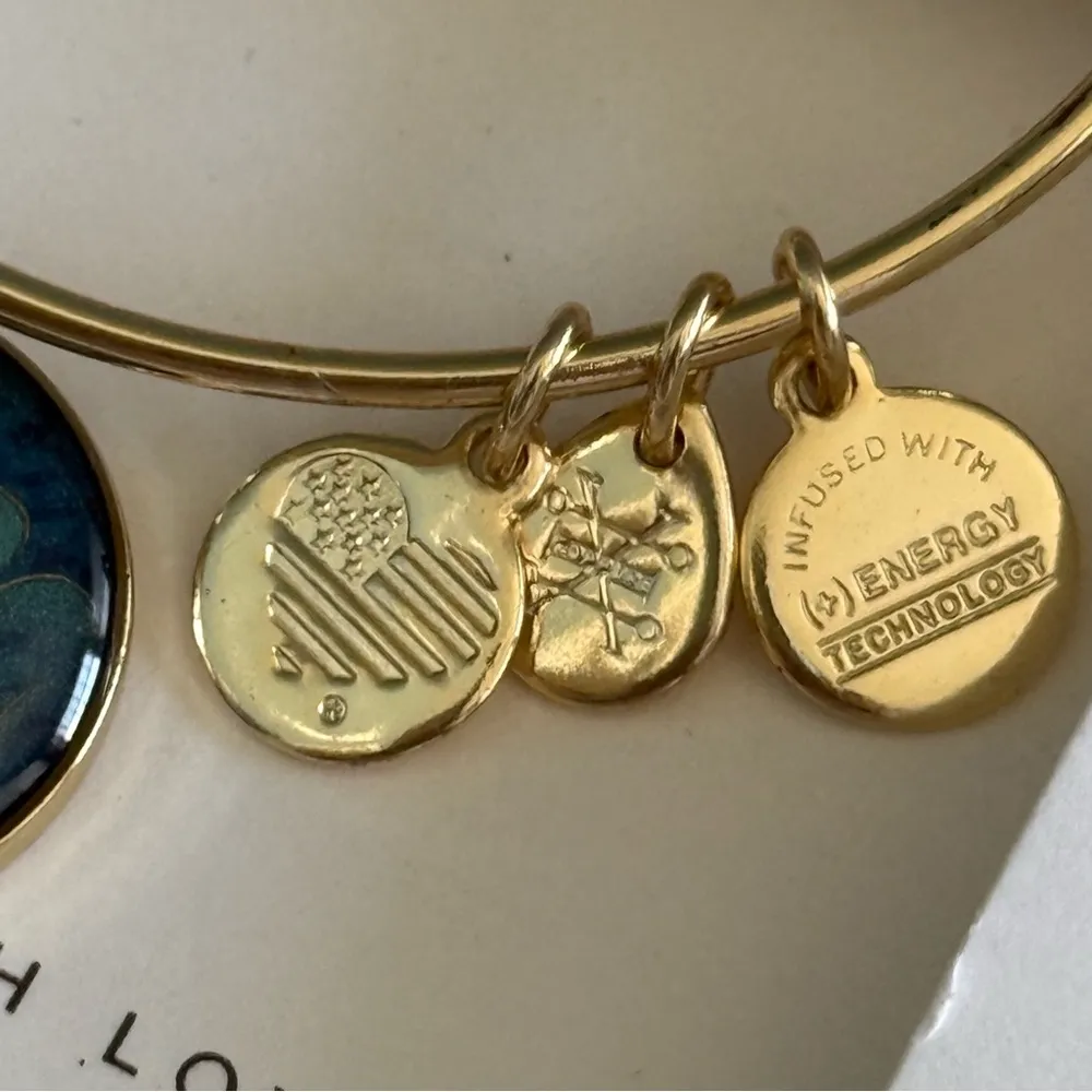 x Alex and Ani Aladdin Genie Wish Granter Goldtone Bangle Bracelet - Image 5