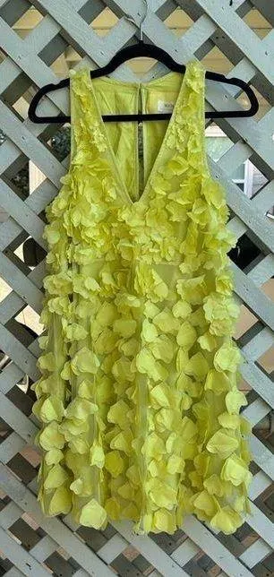 Anthropologie Maeve Sleeveless Floral Appliqué Mini Dress - Image 2