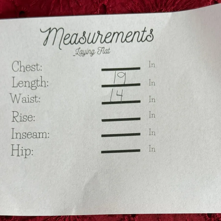 J. Crew The Pencil Mini Skirt Floral Eyelet Lace Lined Back Zip Up Slit 2 P Red - Image 9