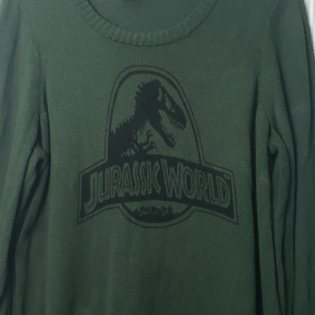 Torrid jurrasic world pullover sweater - Image 5