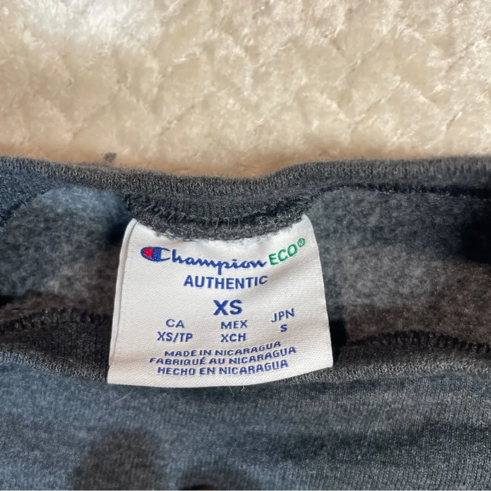 Champion Gray Hampton University Pullover Sweatshirt Unisex Size XS - Image 3