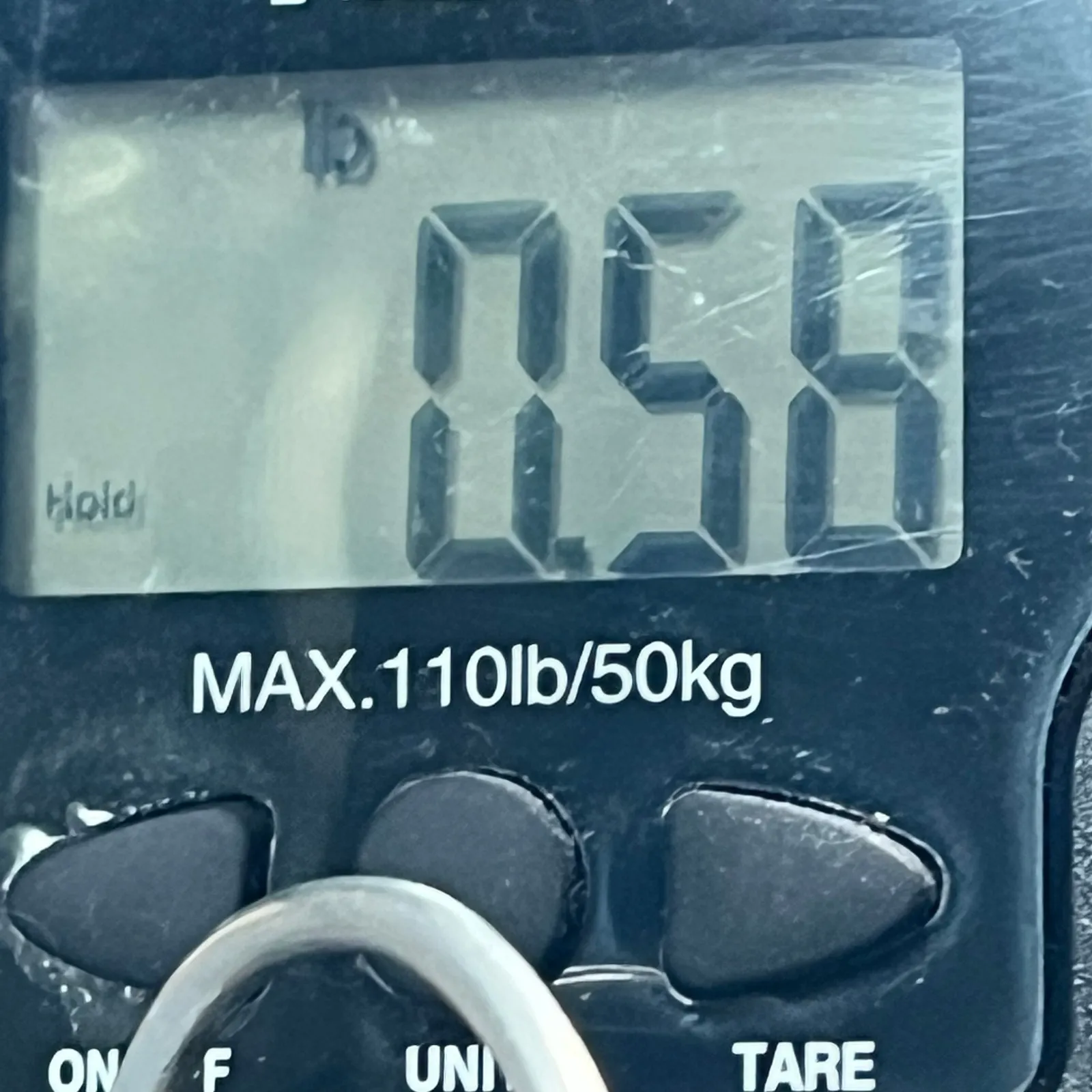 Betsey Johnson Corset Midi Dress 8 Black Lip Print Tulle Mesh Whimsical Romantic - Image 15