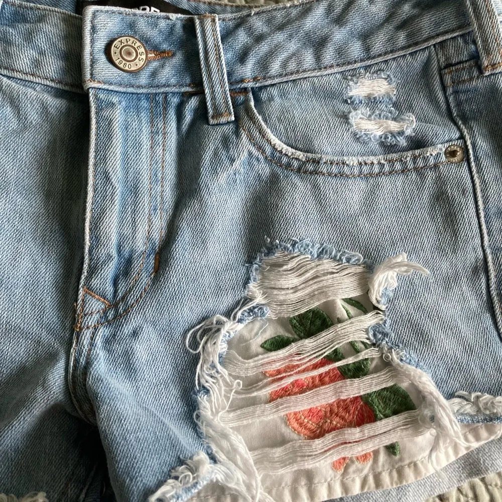 Express rose shorts - Image 2
