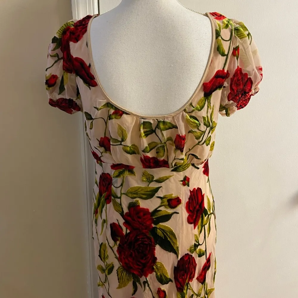 Rare London Rose Devore burnout velvet maxi dress coquette Sz 8 NWT - Image 11