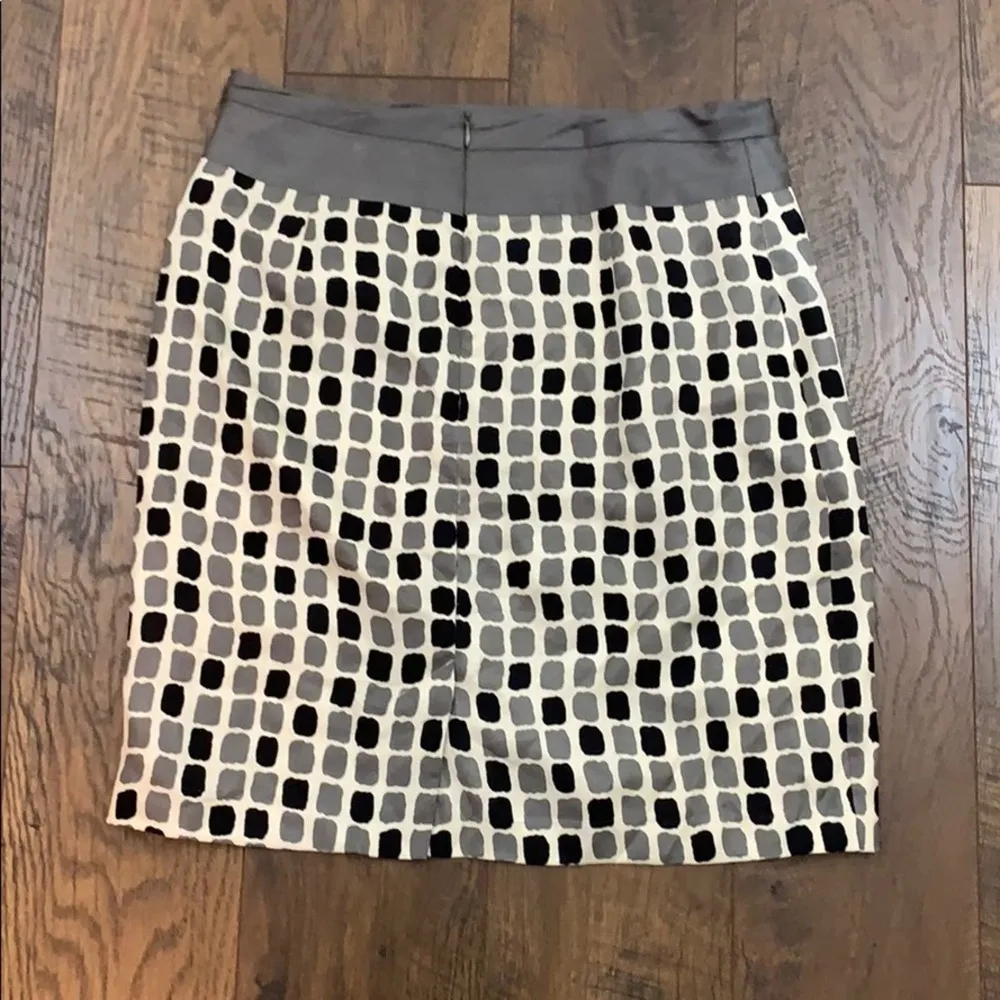 Anthro Baraschi Delancey silk skirt - Image 4