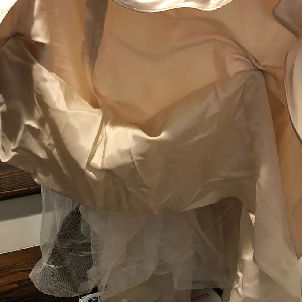 BILL LEVKOFF Taupe Beige Sleeveless Formal Gown w Pickups and Satin Sash Sz 14 - Image 8