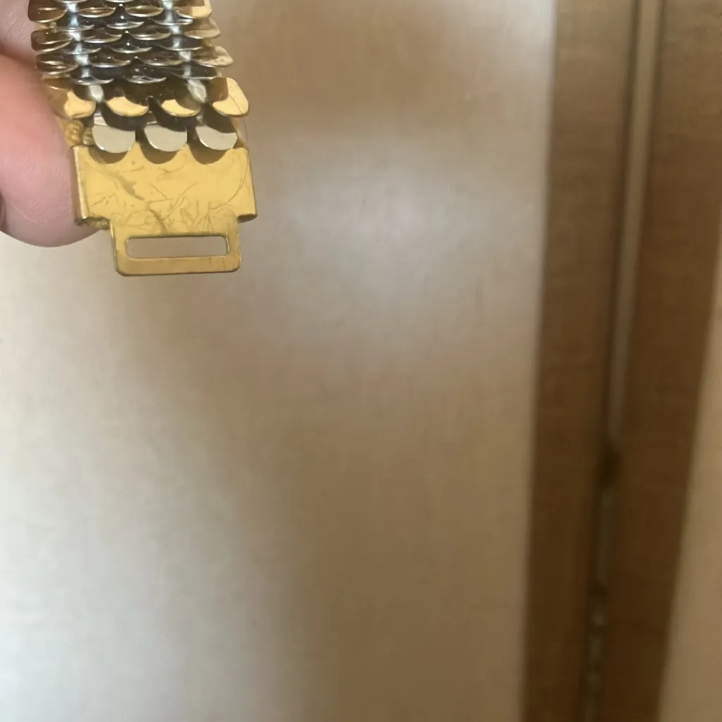 FINAL MARKDOWN Stylish fish scale Belt Silver - Image 3