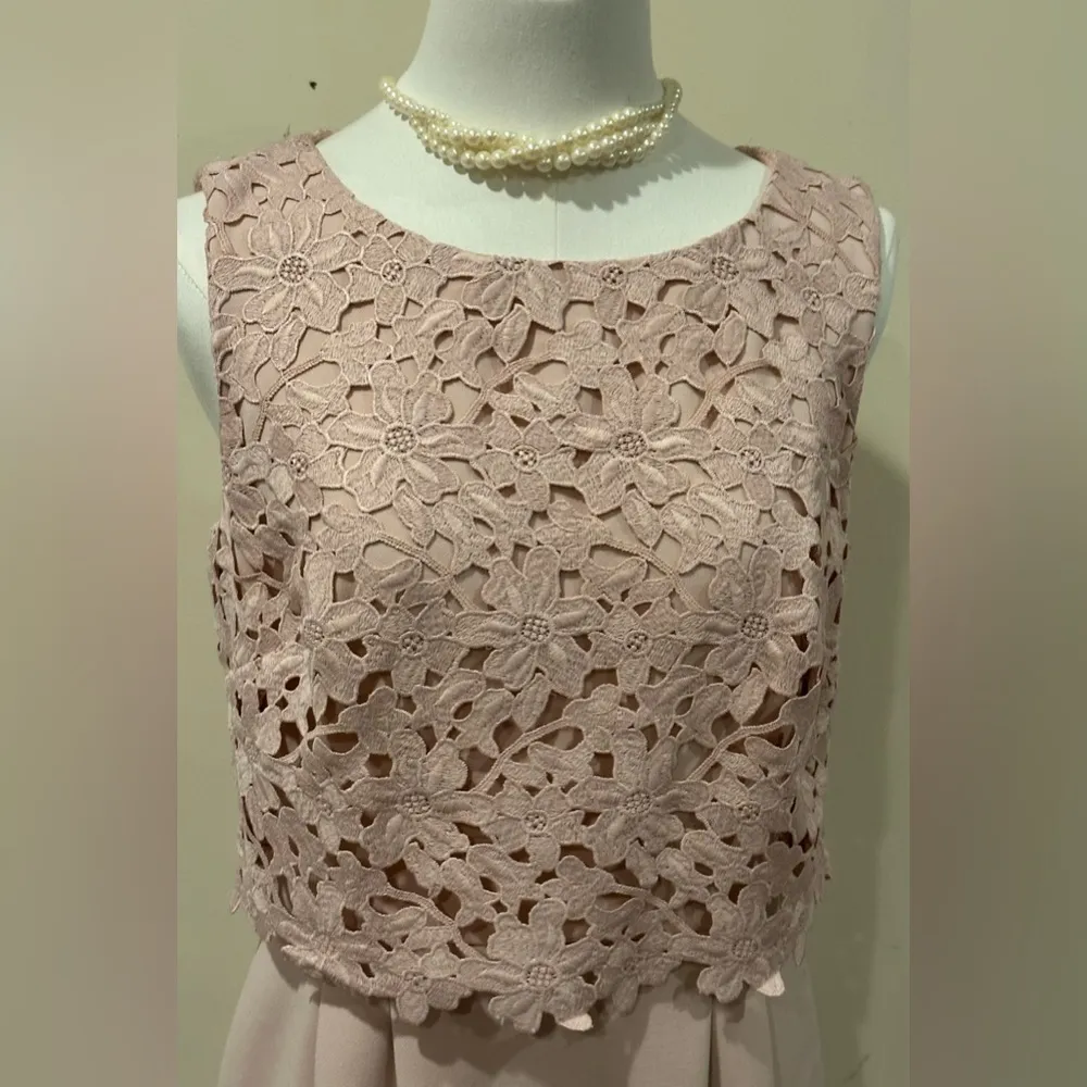 Tahari Arthur S Levine Light Pink Midi Pleated Dress Floral Lace Embroidered Sz4 - Image 2