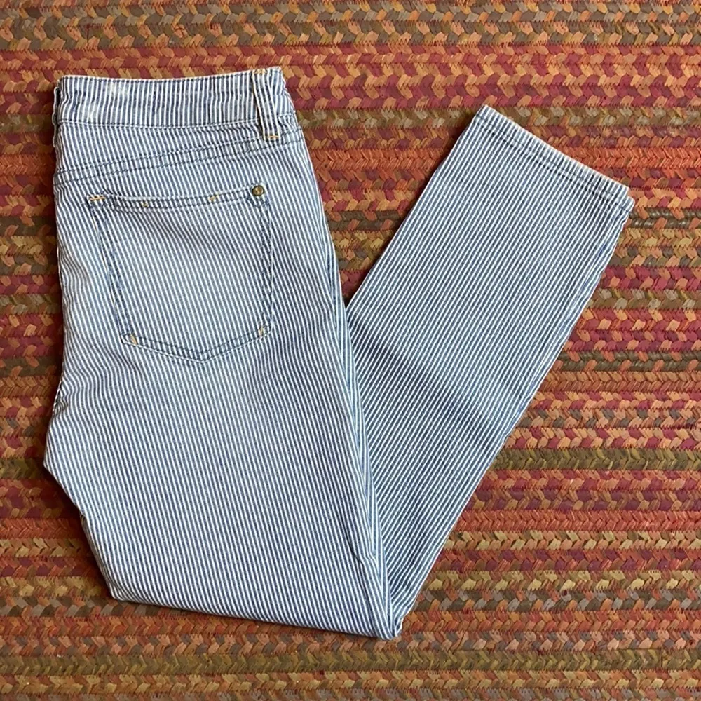 PILCRO BLUE & WHITE PARALLEL MINI STRIPE SKINNY JEANS - Image 2