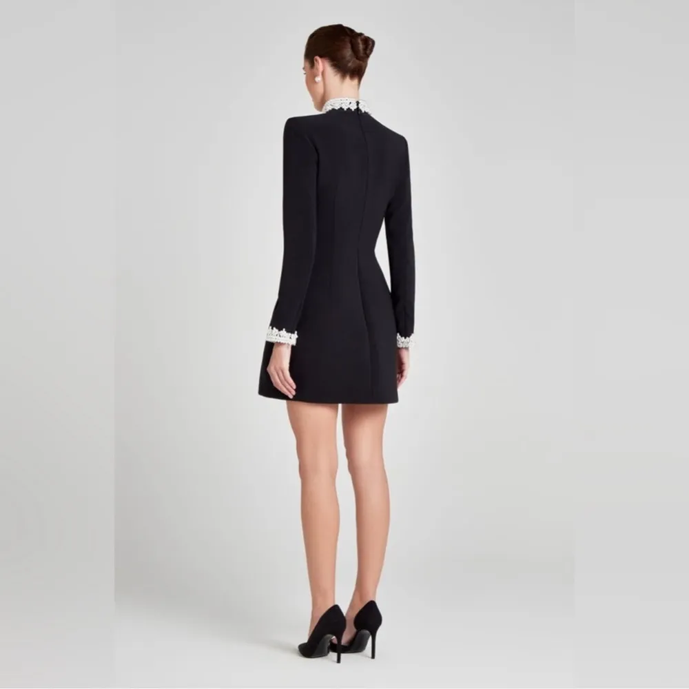 NEW Nadine Merabi Athena Black Sleeveless Mini Dress sz 12 - Image 4