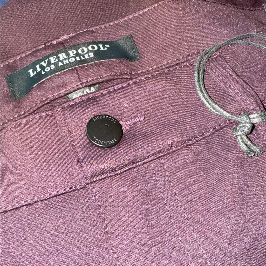 NWT Liverpool Madonna Skinny Legging Jeans in Aubergine Stretch Comfort 32/14 - Image 4